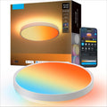 RGBIC Pro Tunable Smart Ceiling Light