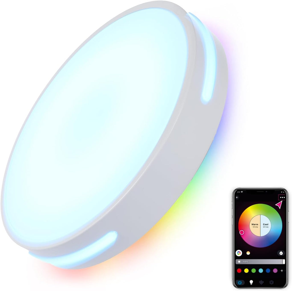 RGBIC Alexa‑Controlled Flush‑Mount Ceiling Light