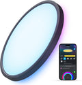 RGBIC Adjustable Smart Ceiling Light Fixture