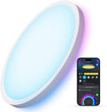 RGBIC Tunable Smart Ceiling Light Fixture