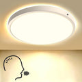 Voice‑Controlled CCT Flush‑Mount Ceiling Light