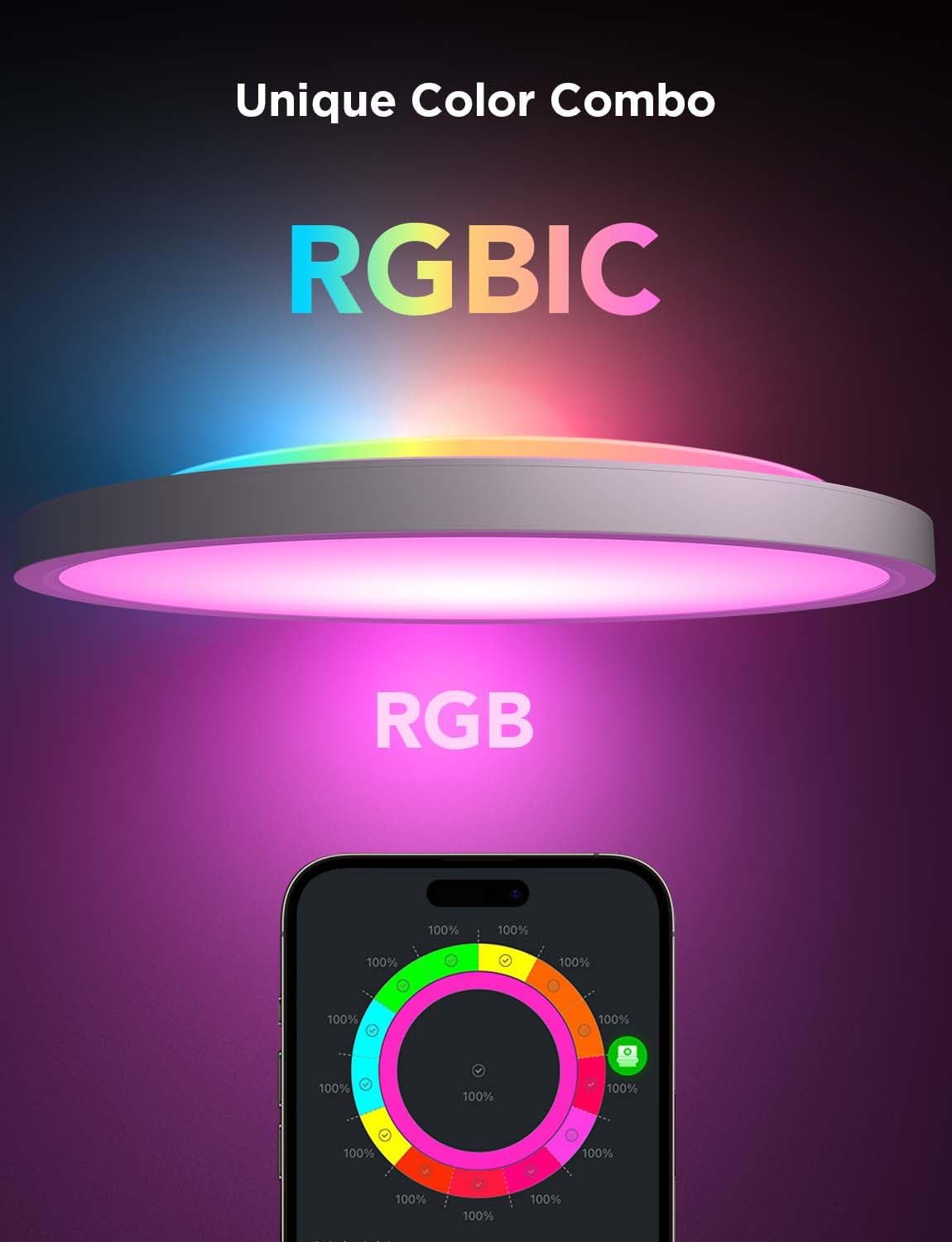 RGBIC Tunable Smart Ceiling Light Fixture