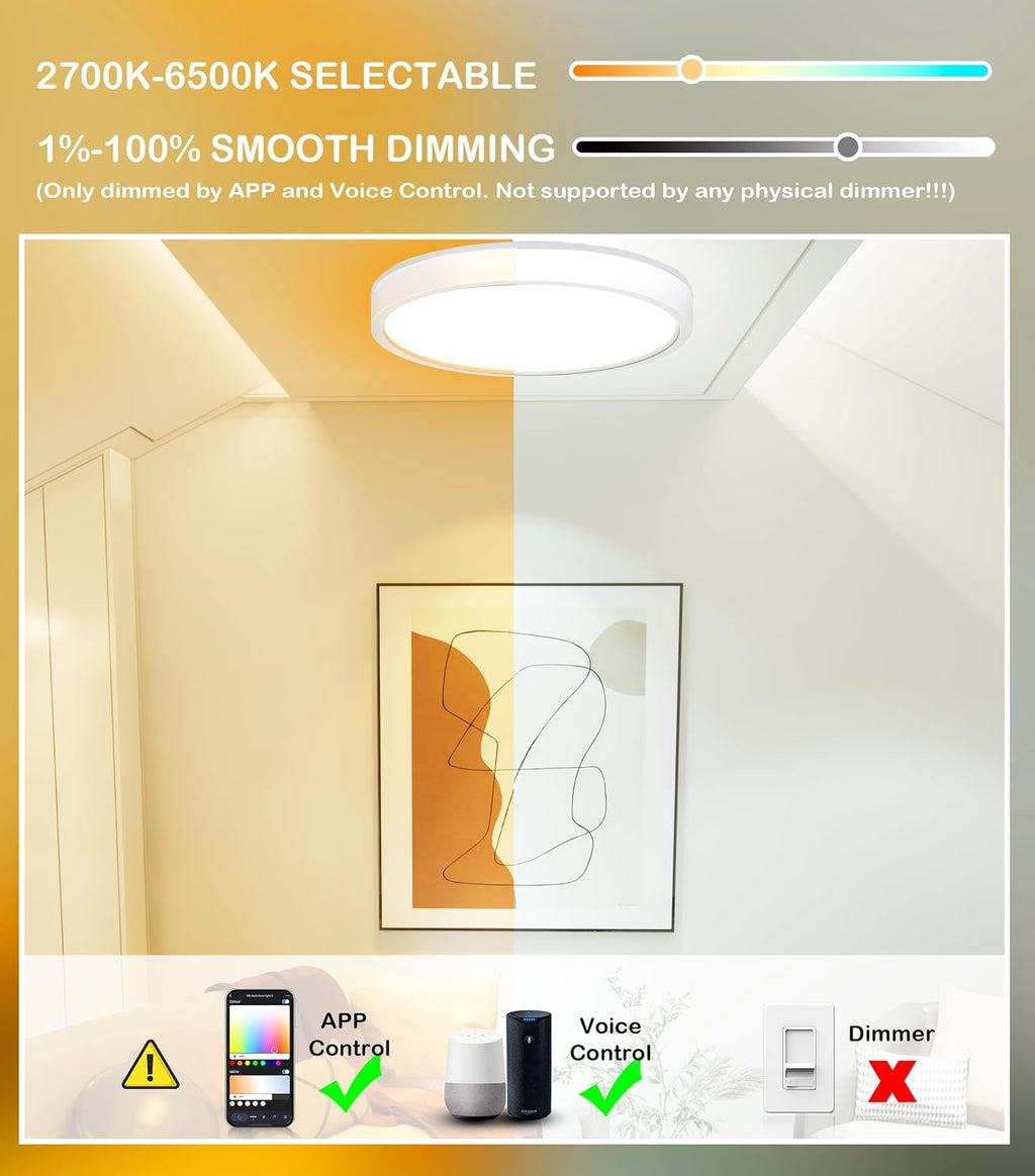 RGB CCT Alexa‑Compatible Flush‑Mount Ceiling Light