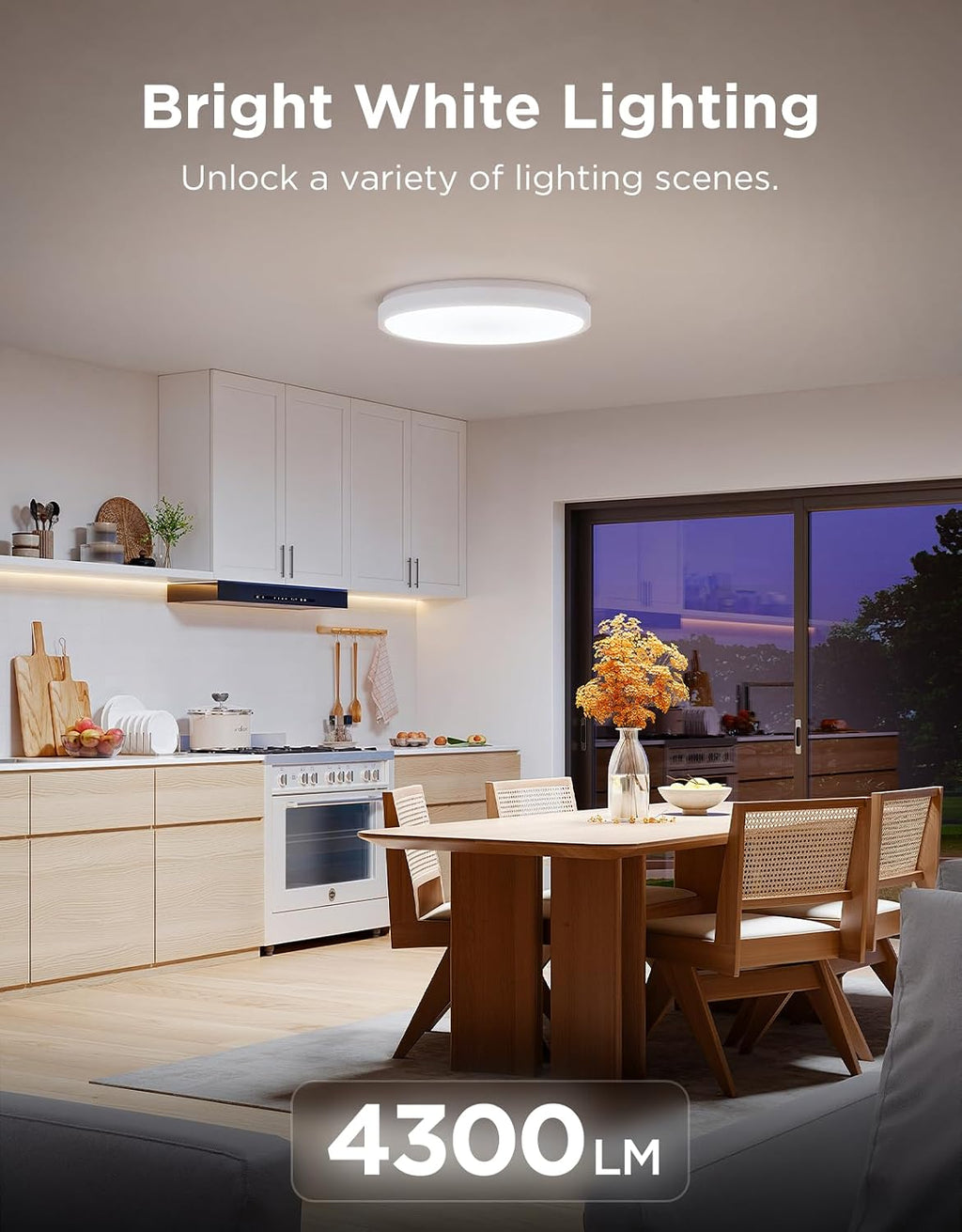 RGBIC Adjustable Smart Ceiling Light Fixture