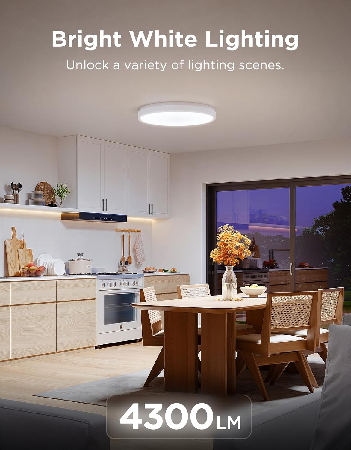 RGBIC Adjustable Smart Ceiling Light Fixture