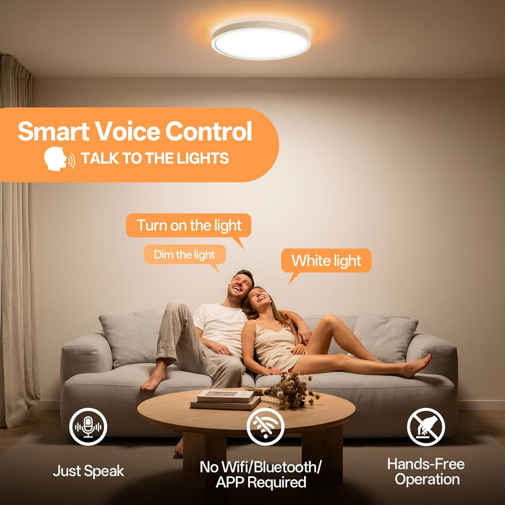 Voice‑Controlled CCT Flush‑Mount Ceiling Light