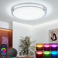 RGBCW Alexa Google Smart Ceiling Light