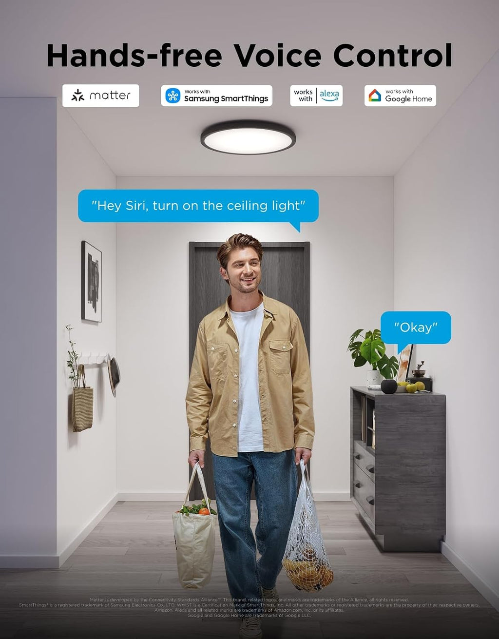 RGBIC Adjustable Smart Ceiling Light Fixture