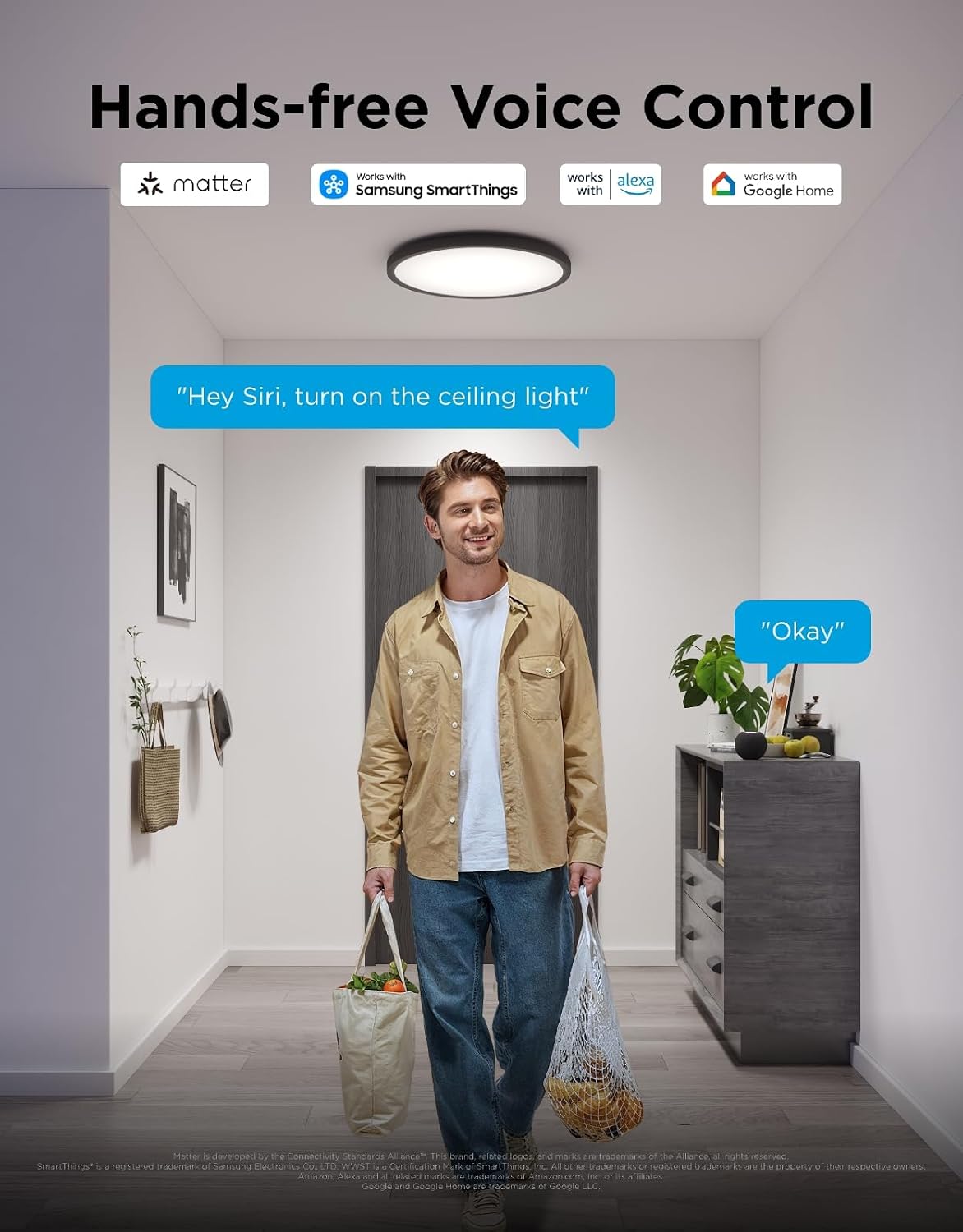 RGBIC Adjustable Smart Ceiling Light Fixture