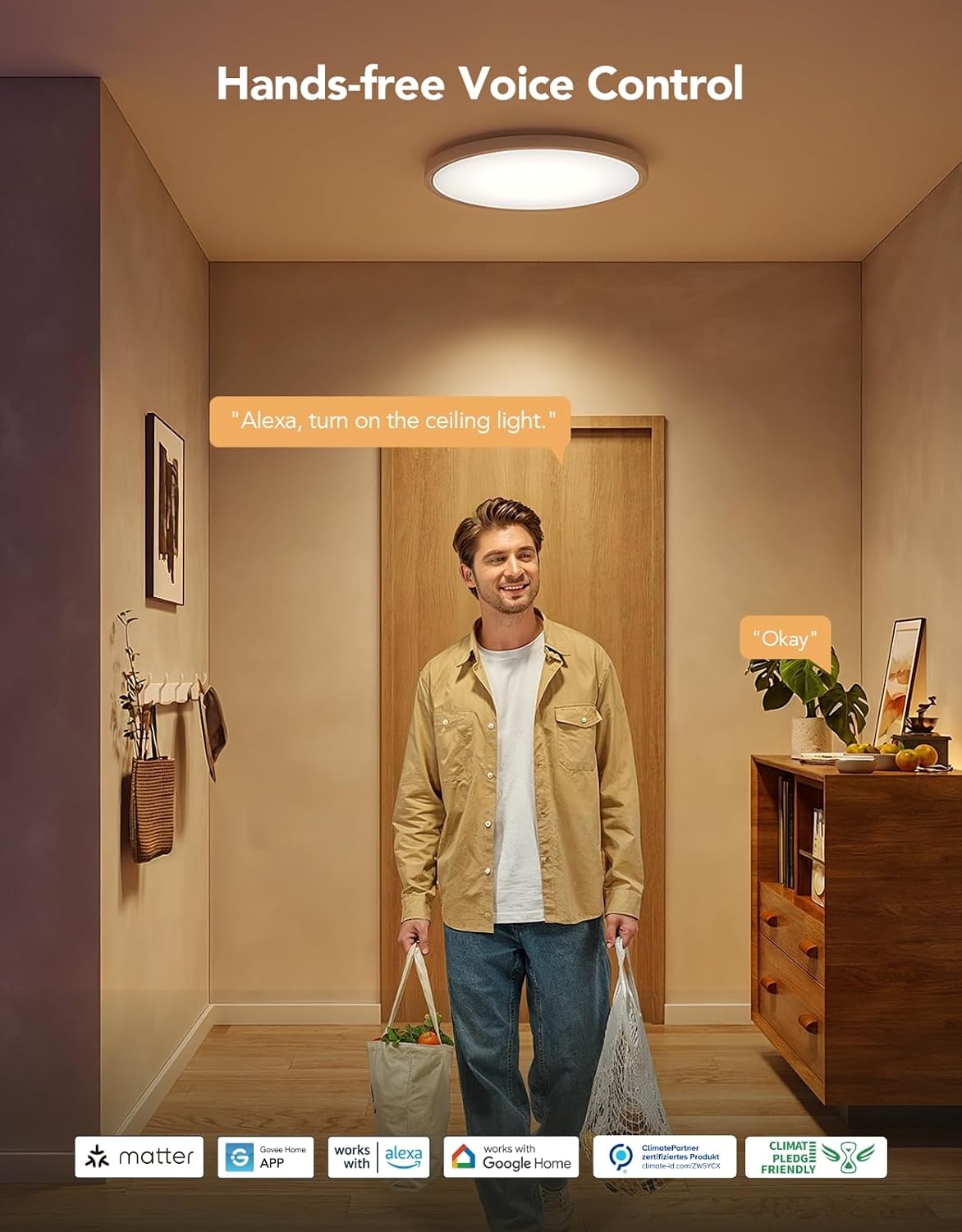 RGBIC Tunable Smart Ceiling Light Fixture