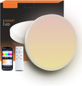 RGBIC Alexa‑Enabled Flush‑Mount Ceiling Light